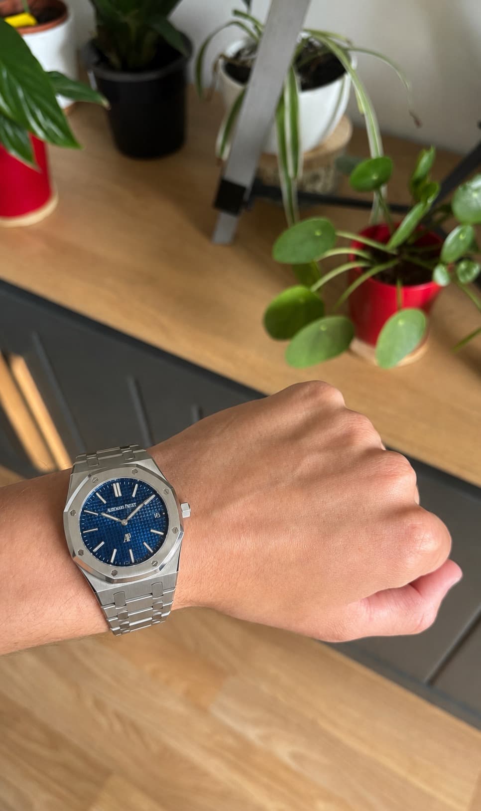 Festina → AP Royal Oak après